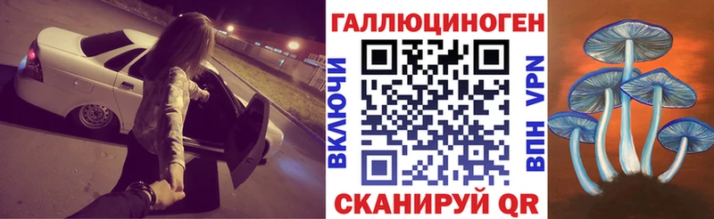 где найти   блэк спрут зеркало  Псилоцибиновые грибы Psilocybe  Волхов 